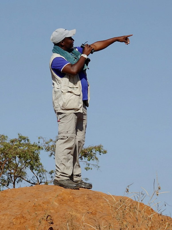 Modou Jarju en observation lointaine d'oiseaux en Gambie